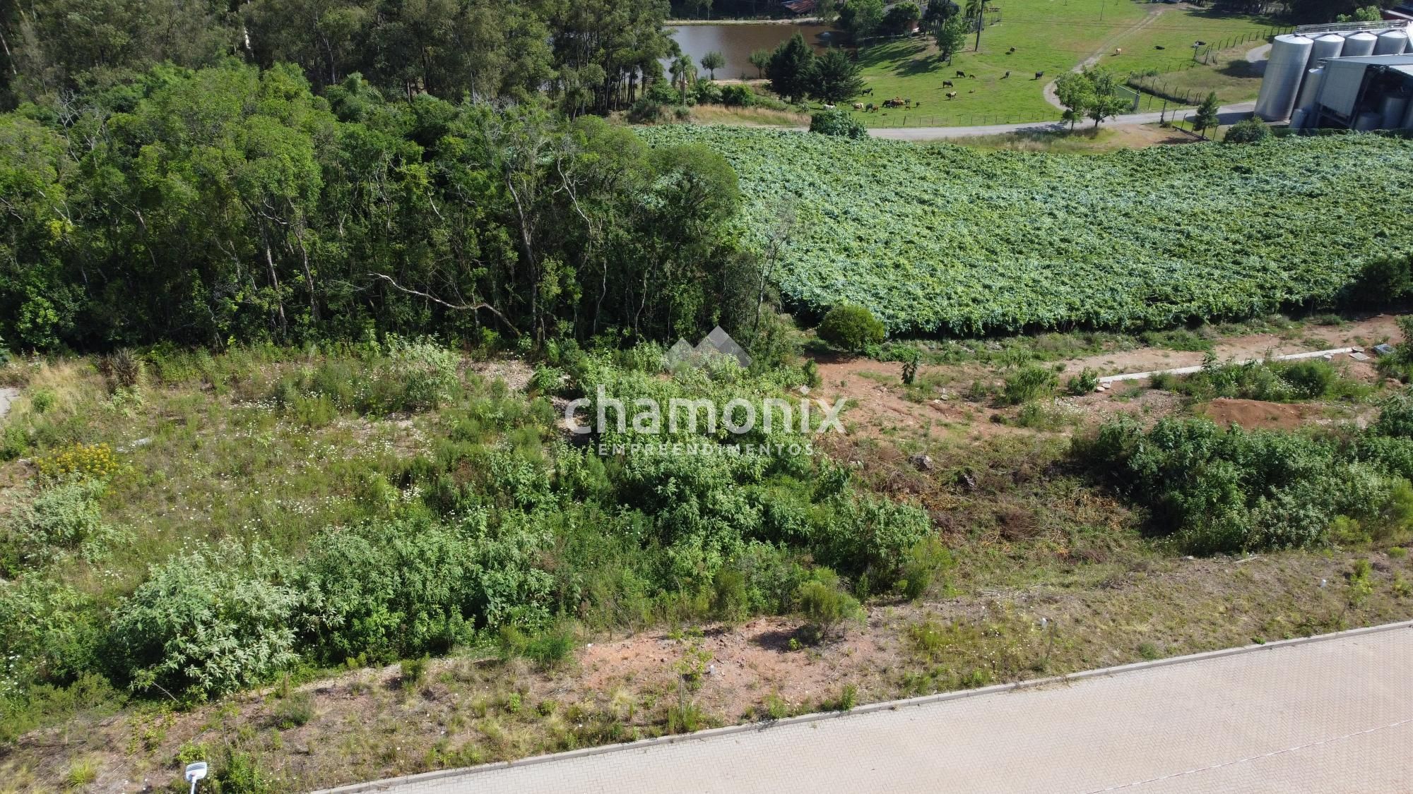 Terreno à venda, 360m² - Foto 5