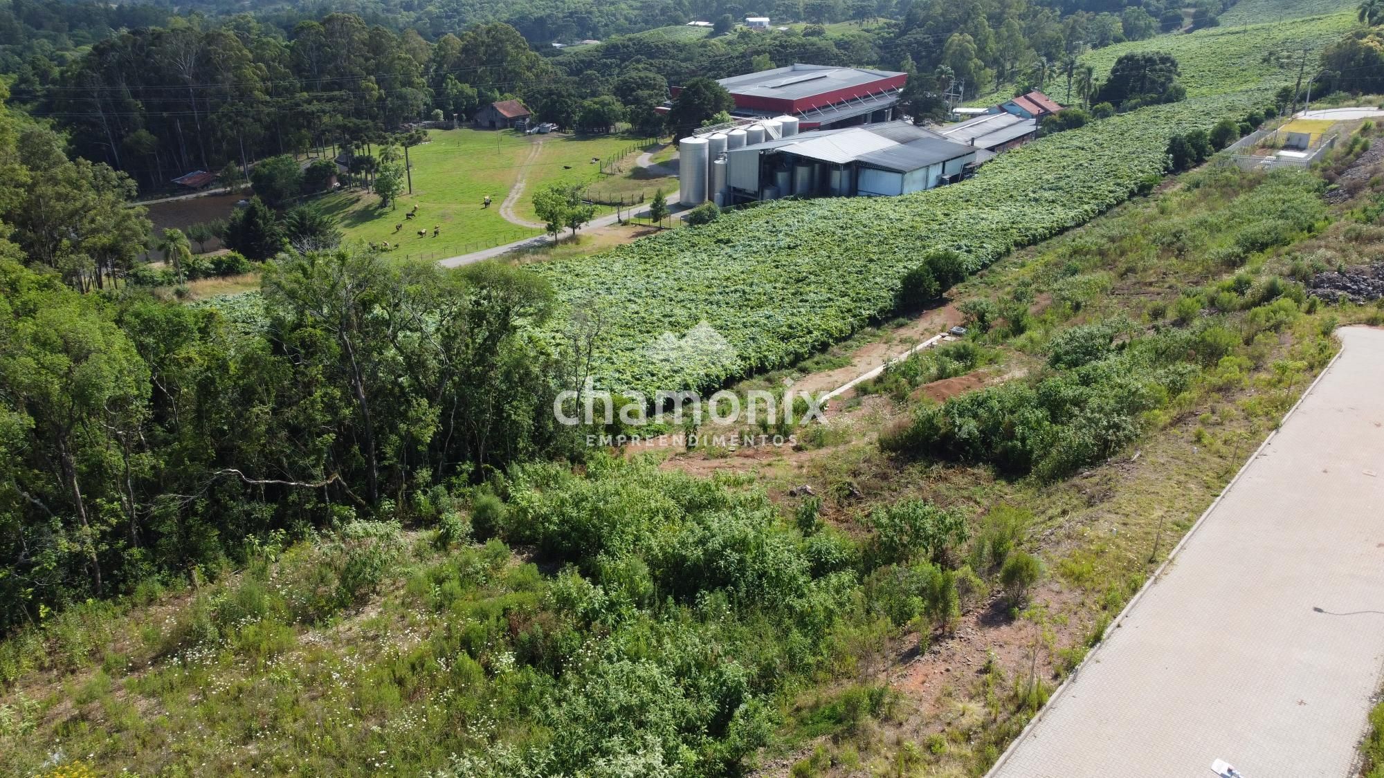 Terreno à venda, 360m² - Foto 3