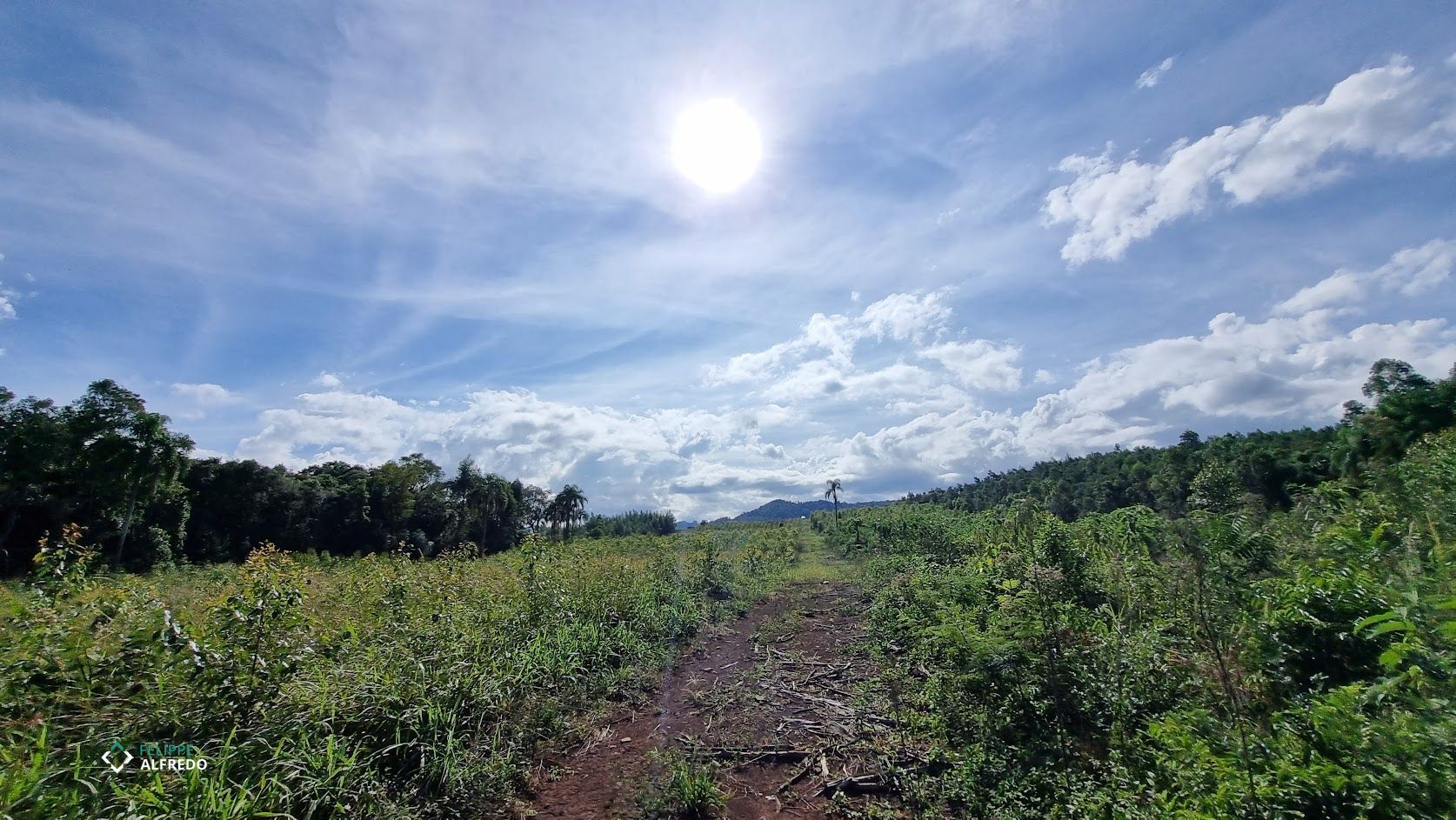Área Rural à venda no São Jacó, Sapiranga