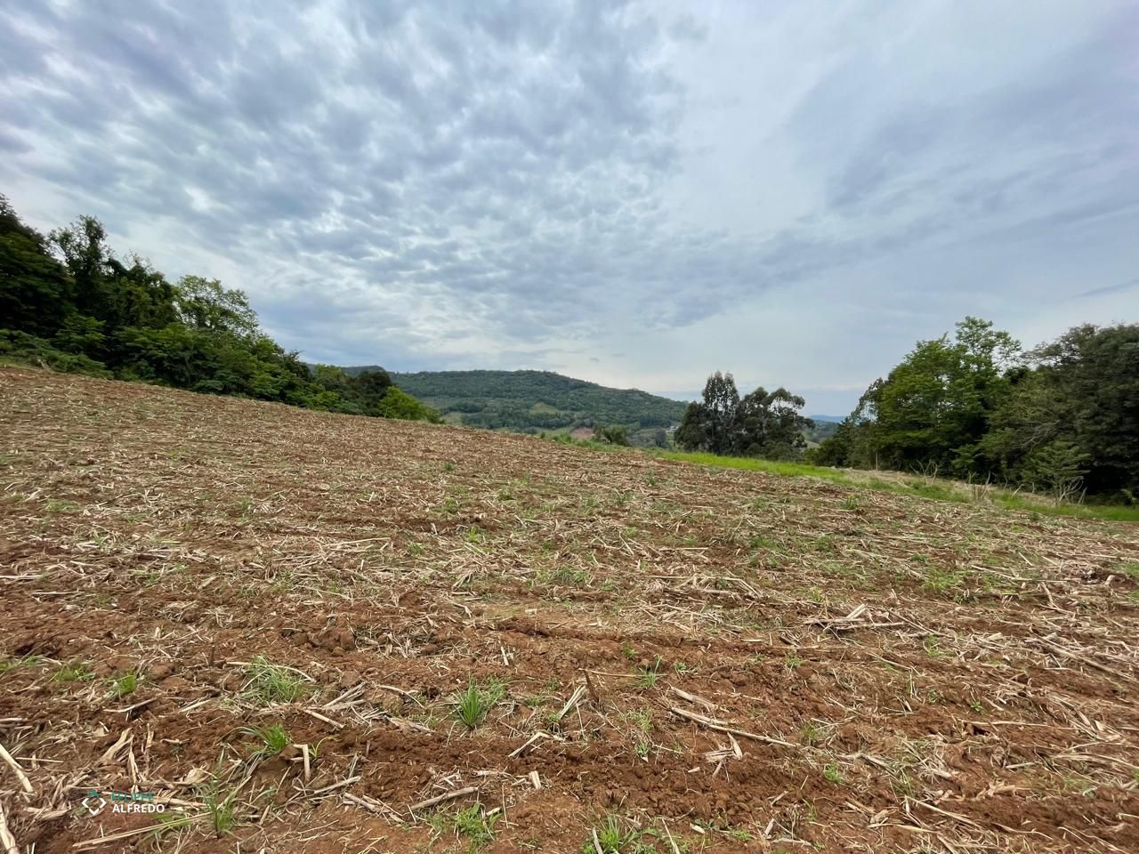 Foto 4 do imóvel