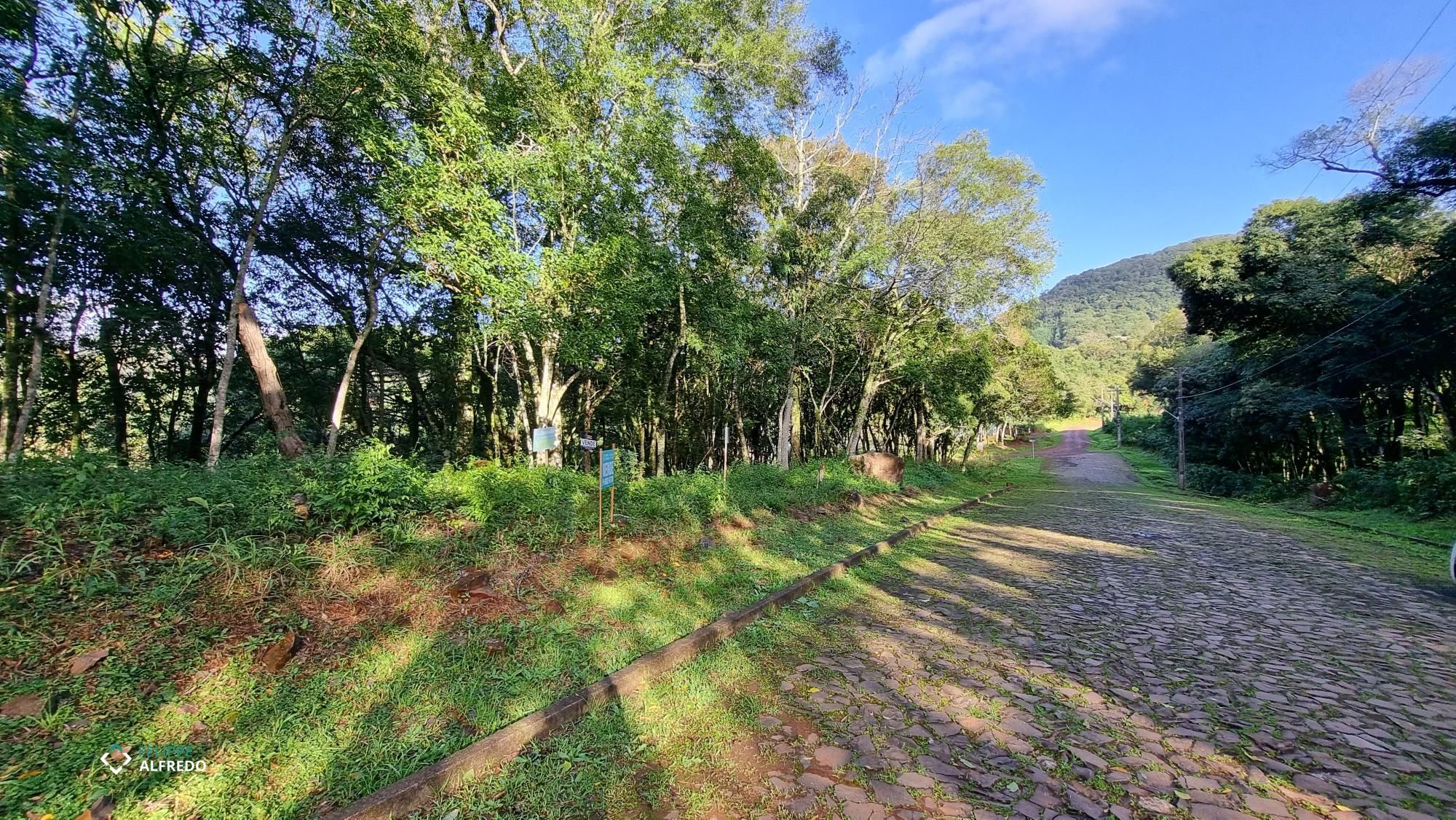 Terreno à venda no Centro, Morro Reuter