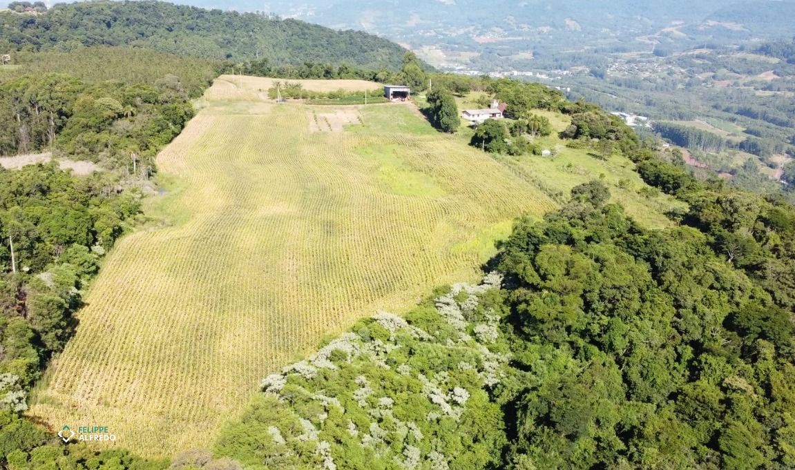 Área Rural à venda no Morro do Pedro, Presidente Lucena
