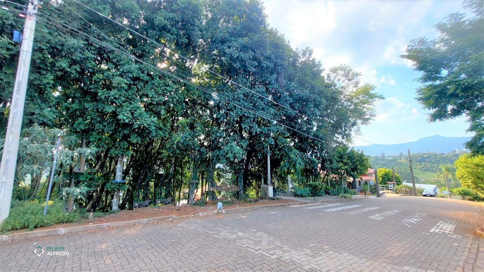 Foto 4 do imóvel