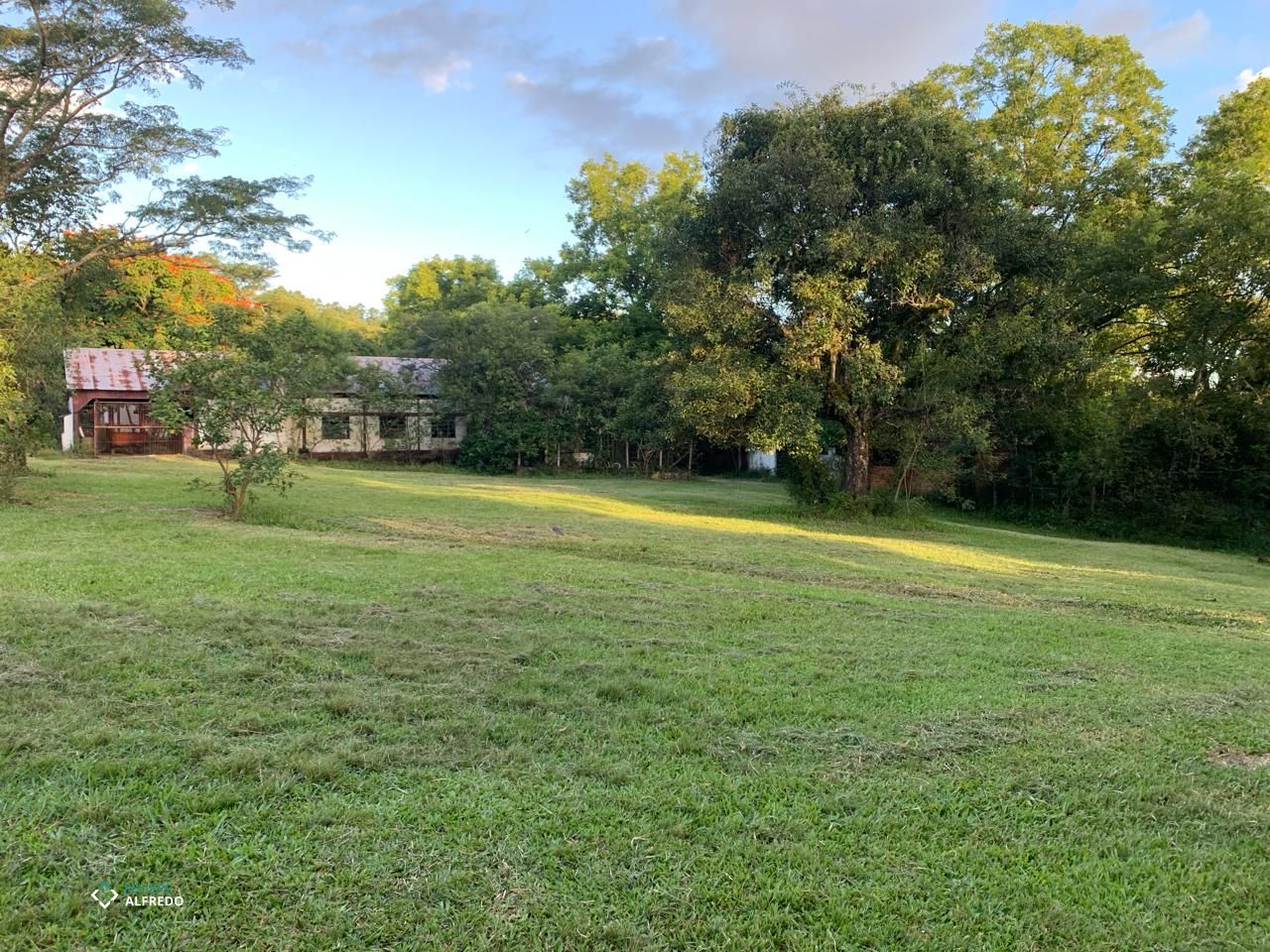 Foto 4 do imóvel