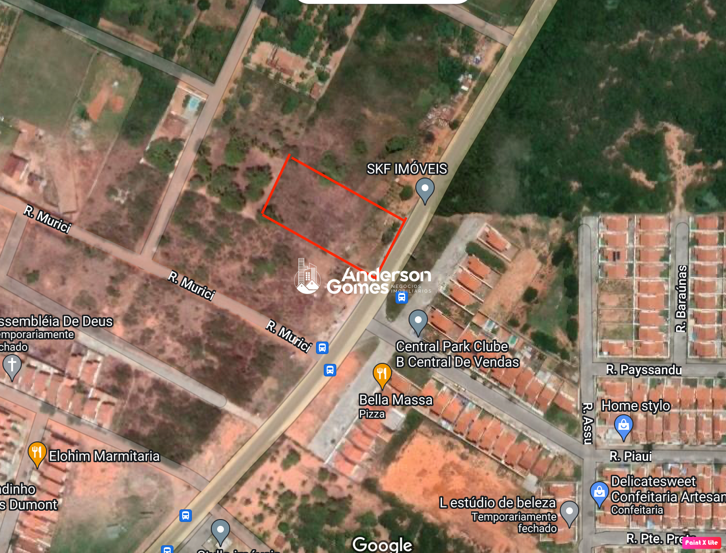 Terreno à venda com 1 quarto, 4000m² - Foto 4