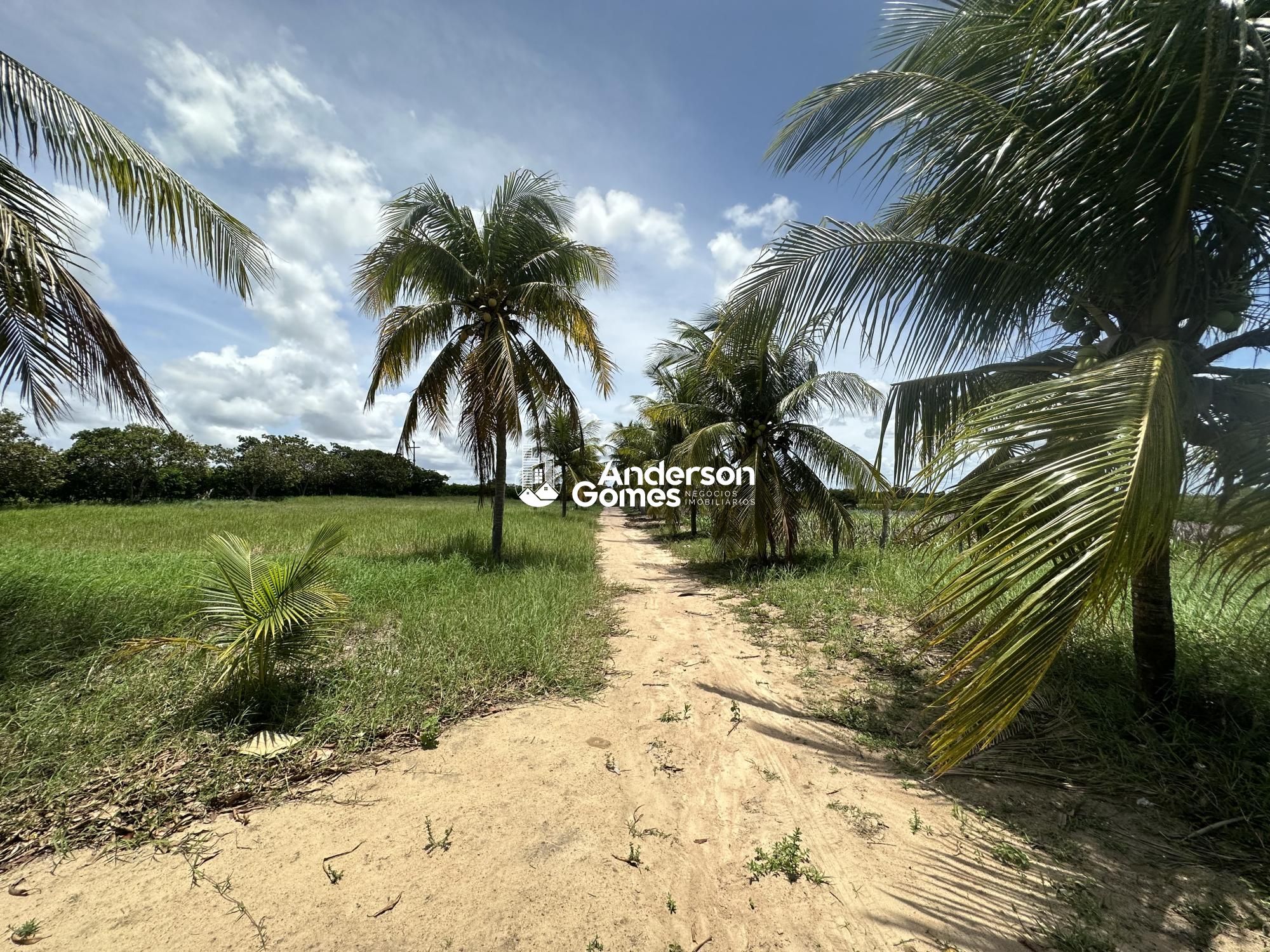 Sítio à venda com 3 quartos, 60000m² - Foto 16