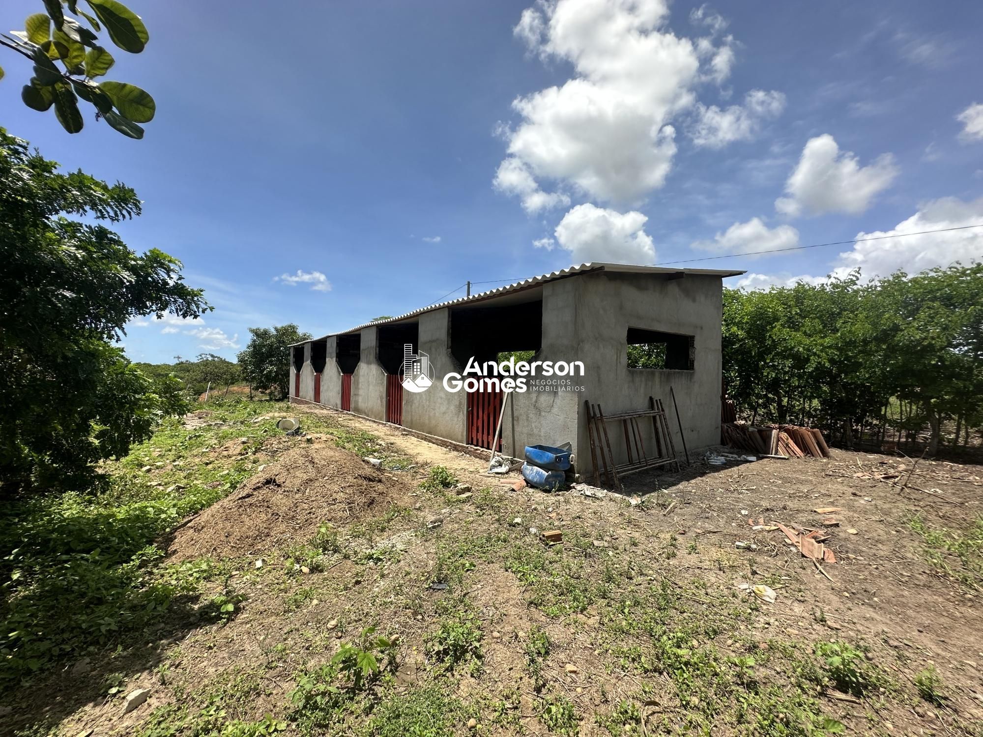 Sítio à venda com 3 quartos, 60000m² - Foto 22