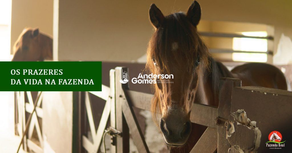 Casa, 4 quartos, 260 m² - Foto 17