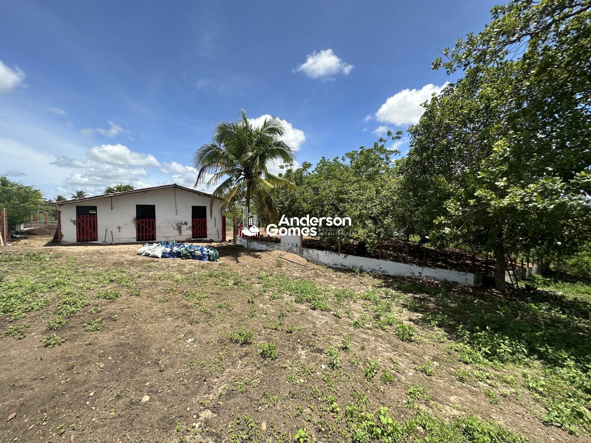 Sítio à venda com 3 quartos, 60000m² - Foto 21