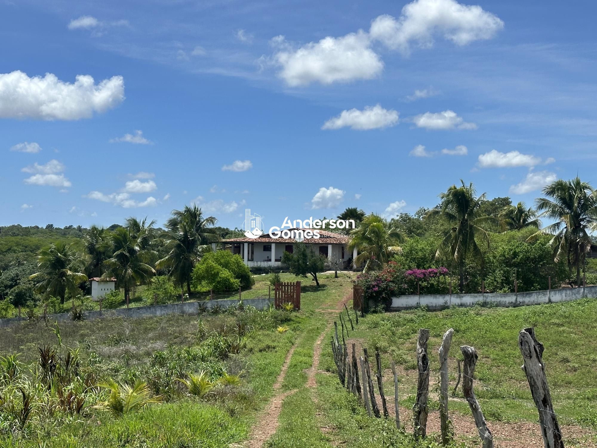 Sítio à venda com 3 quartos, 60000m² - Foto 31