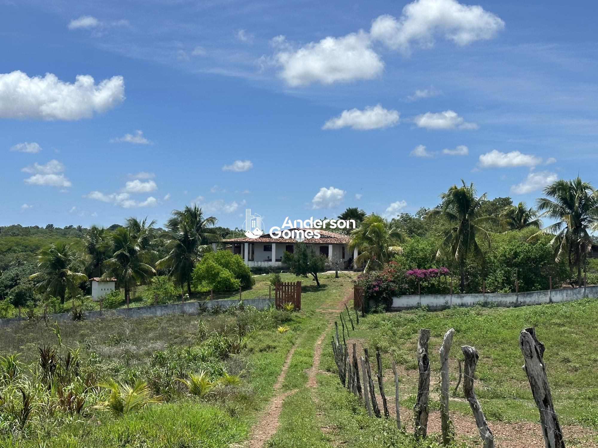 Fazenda à venda com 3 quartos, 60000m² - Foto 31