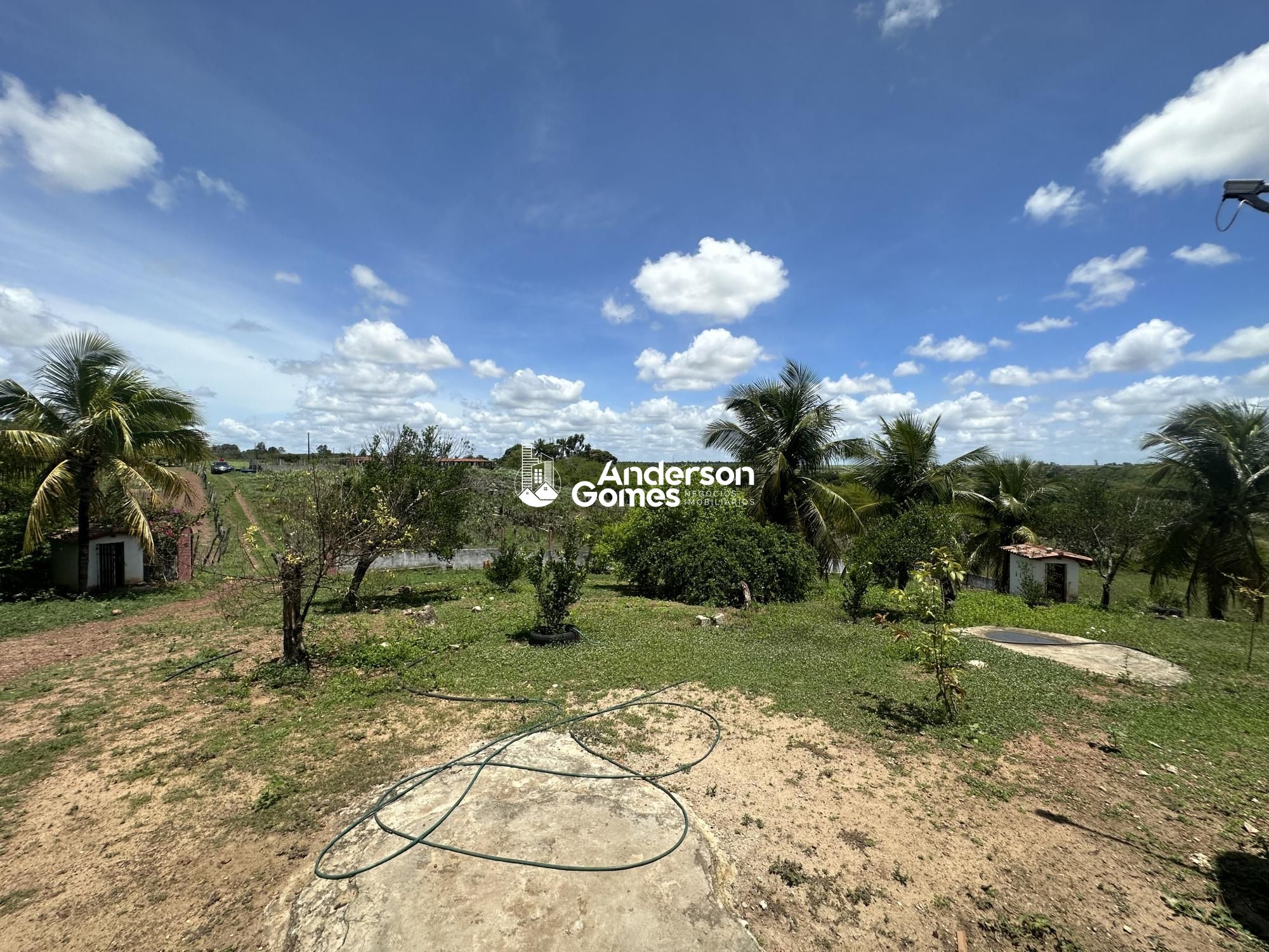 Sítio à venda com 3 quartos, 60000m² - Foto 24