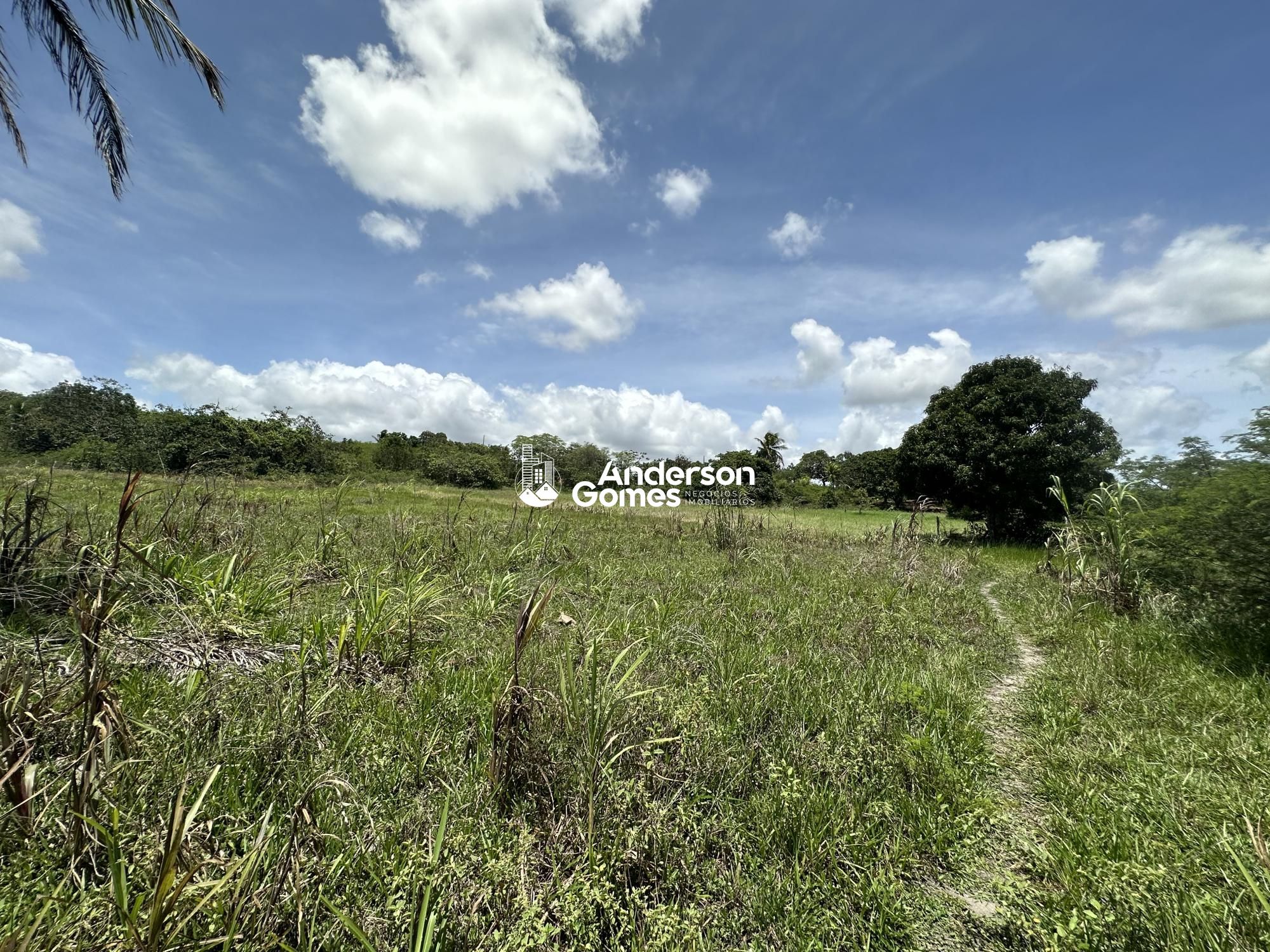 Sítio à venda com 3 quartos, 60000m² - Foto 18