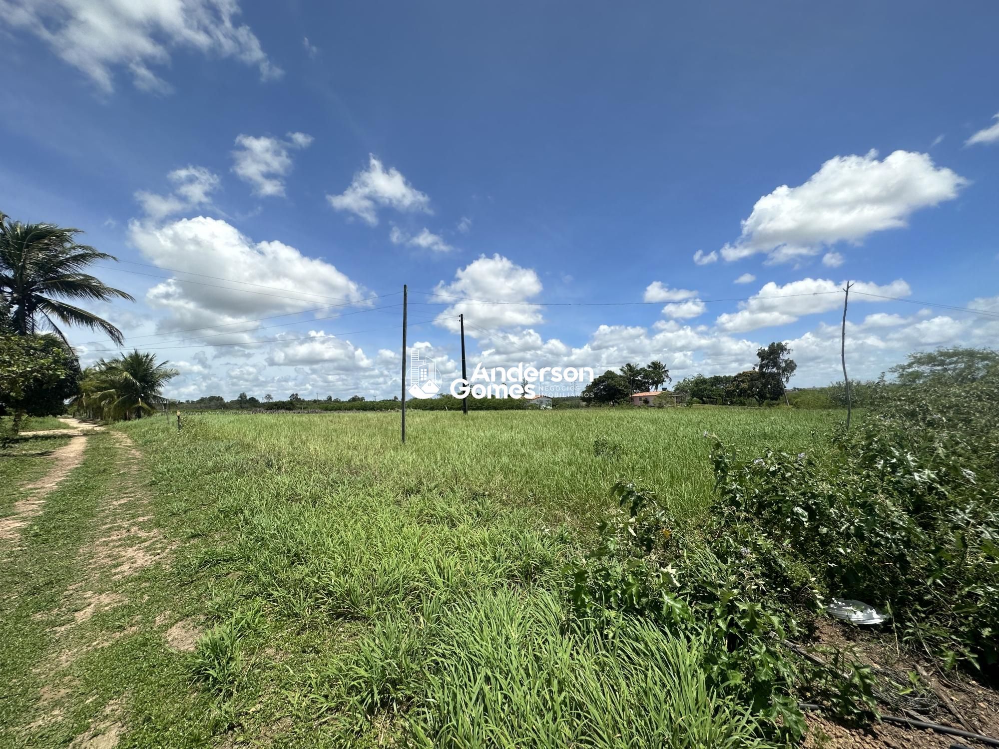 Sítio à venda com 3 quartos, 60000m² - Foto 33