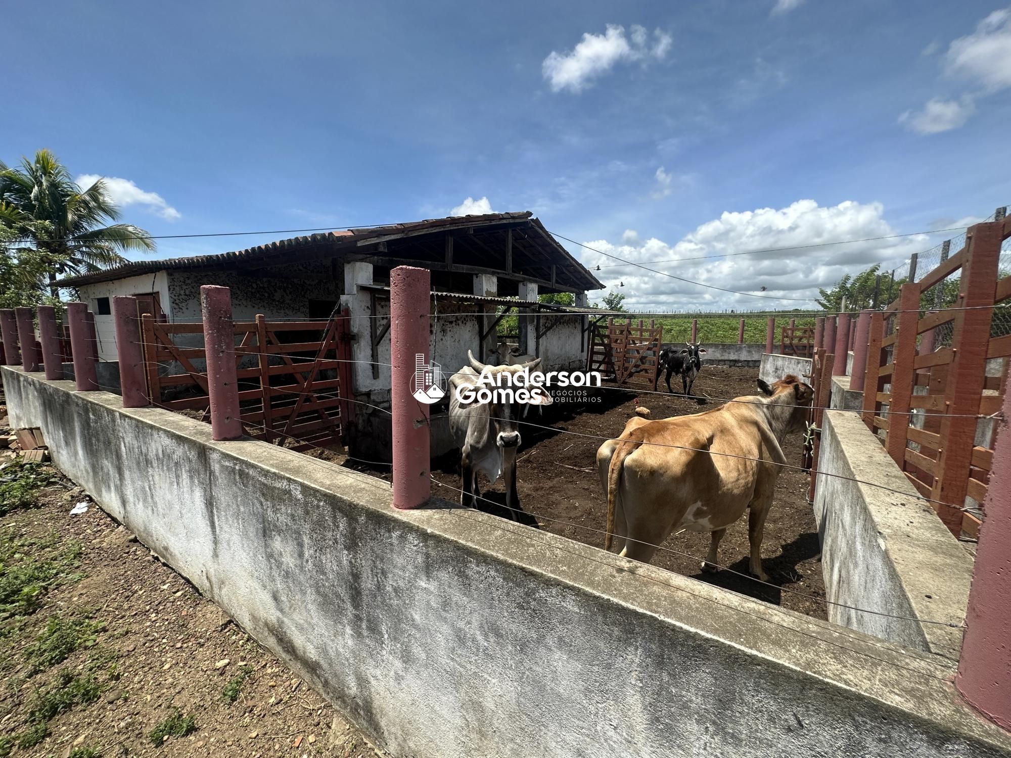 Fazenda à venda com 3 quartos, 60000m² - Foto 27