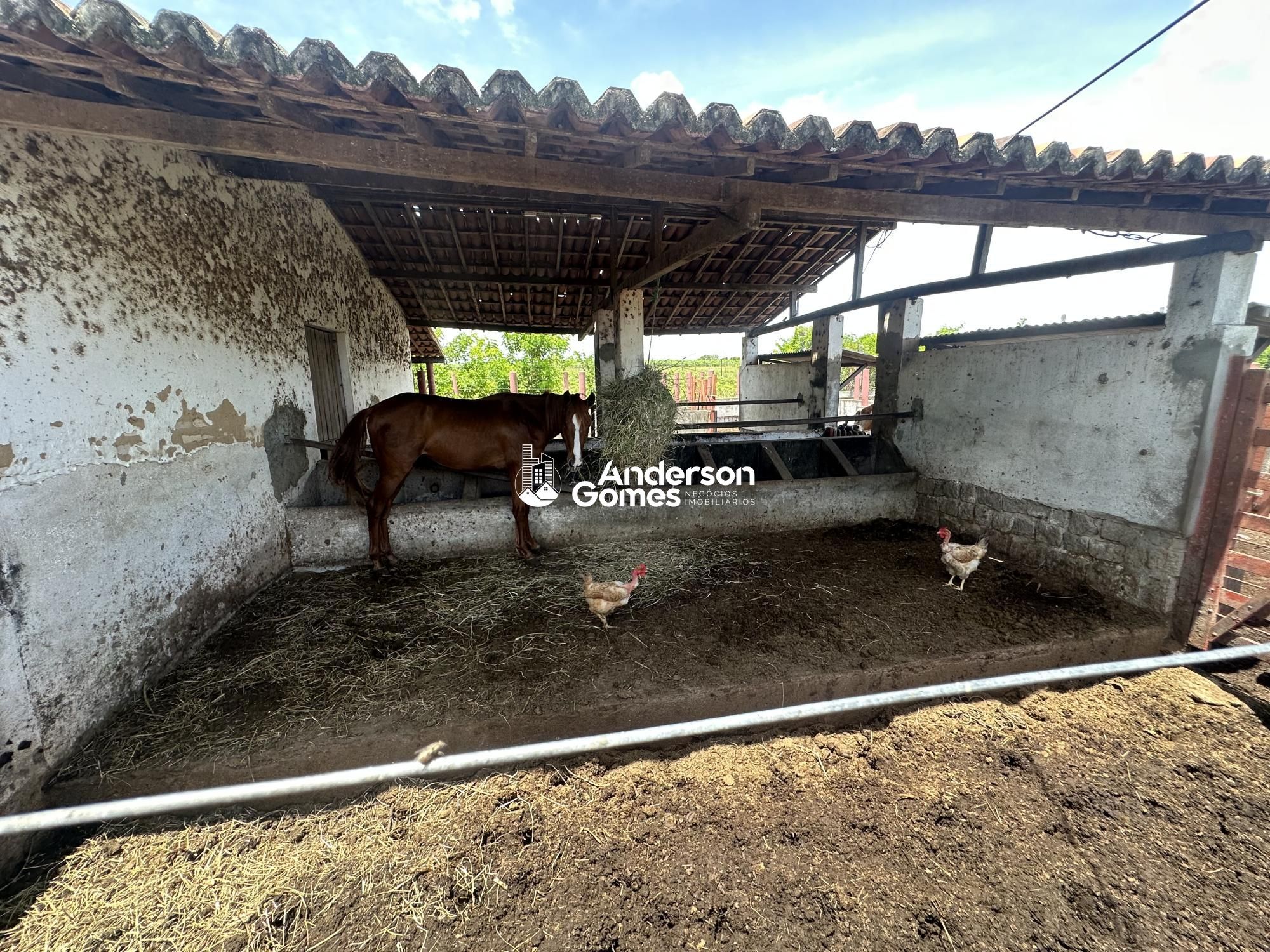 Sítio à venda com 3 quartos, 60000m² - Foto 20
