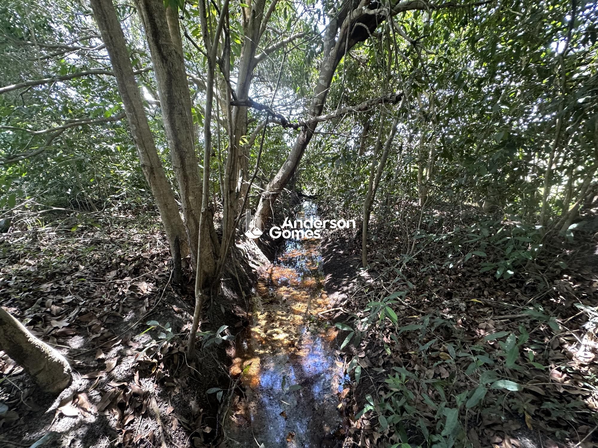 Sítio à venda com 3 quartos, 60000m² - Foto 17