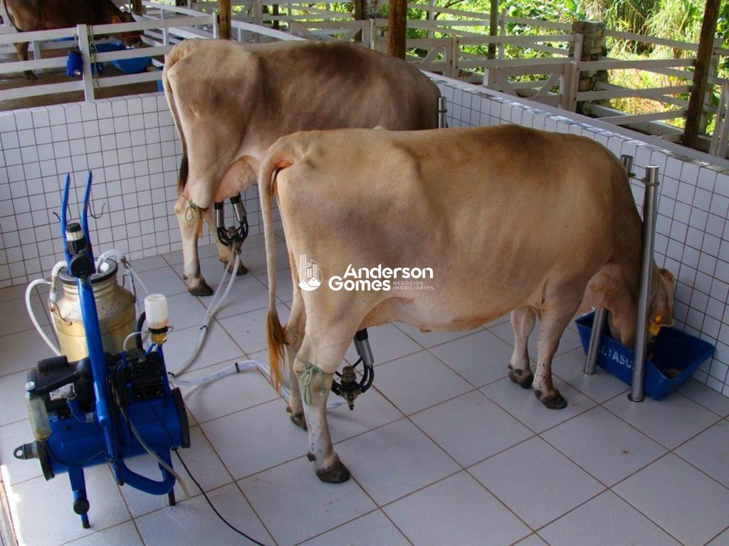 Casa, 4 quartos, 260 m² - Foto 10