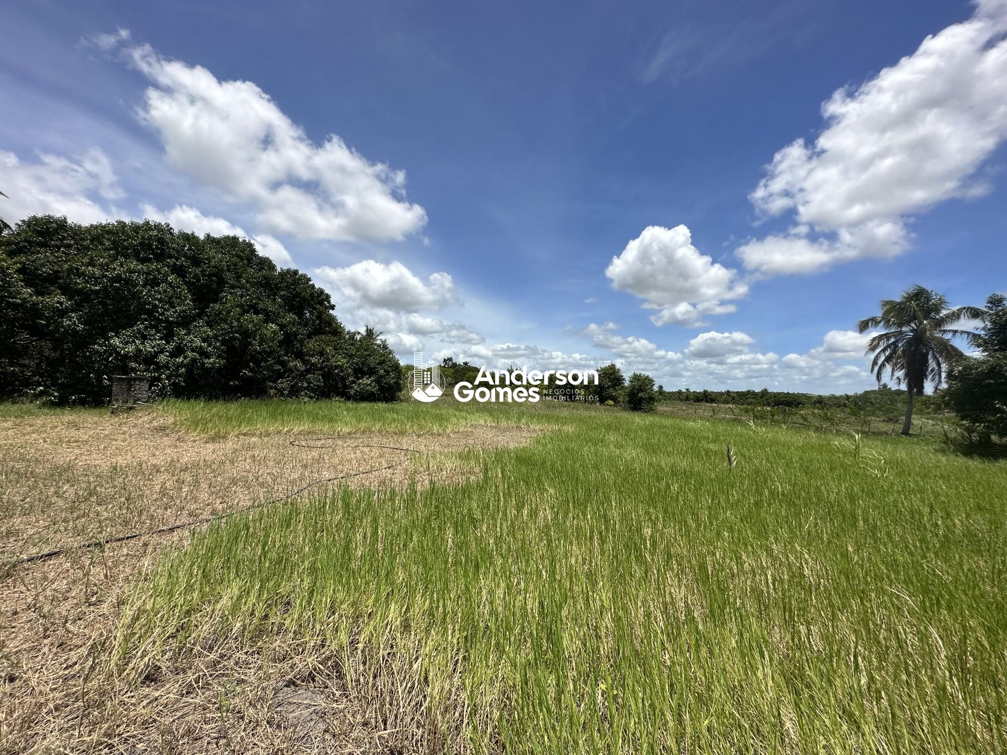 Sítio à venda com 3 quartos, 60000m² - Foto 19