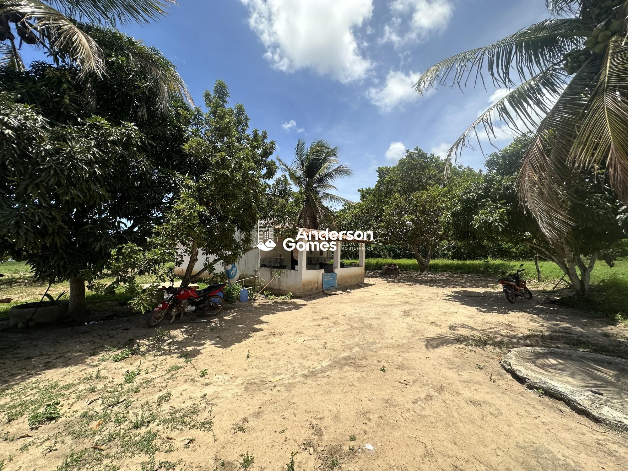 Sítio à venda com 3 quartos, 60000m² - Foto 15