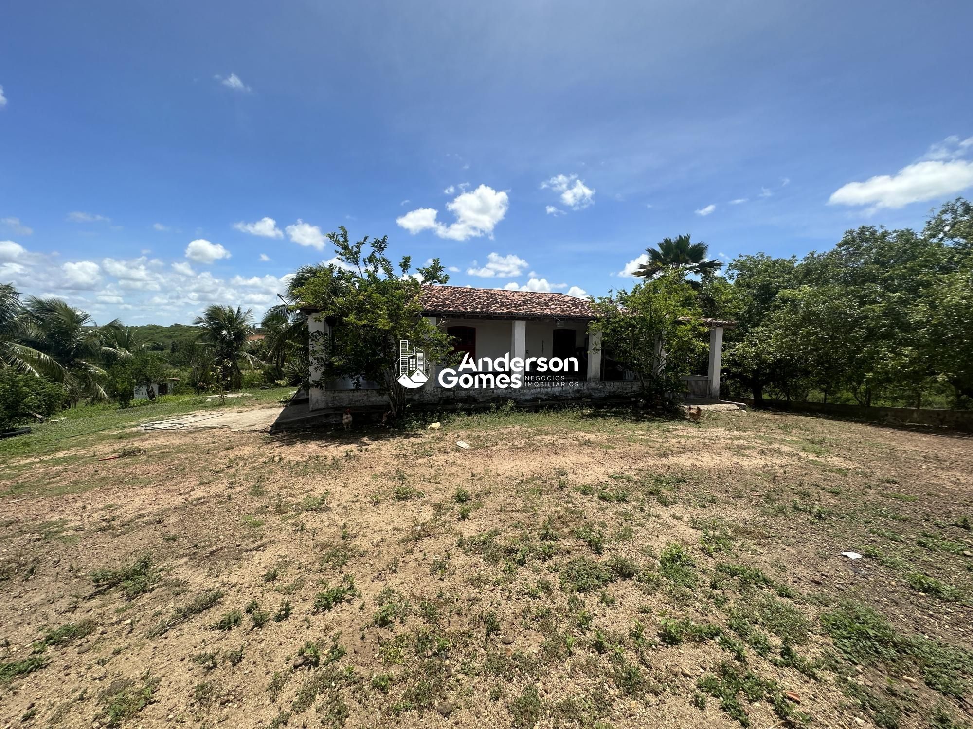 Sítio à venda com 3 quartos, 60000m² - Foto 26