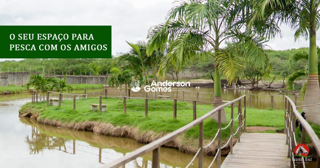 Casa, 4 quartos, 260 m² - Foto 20