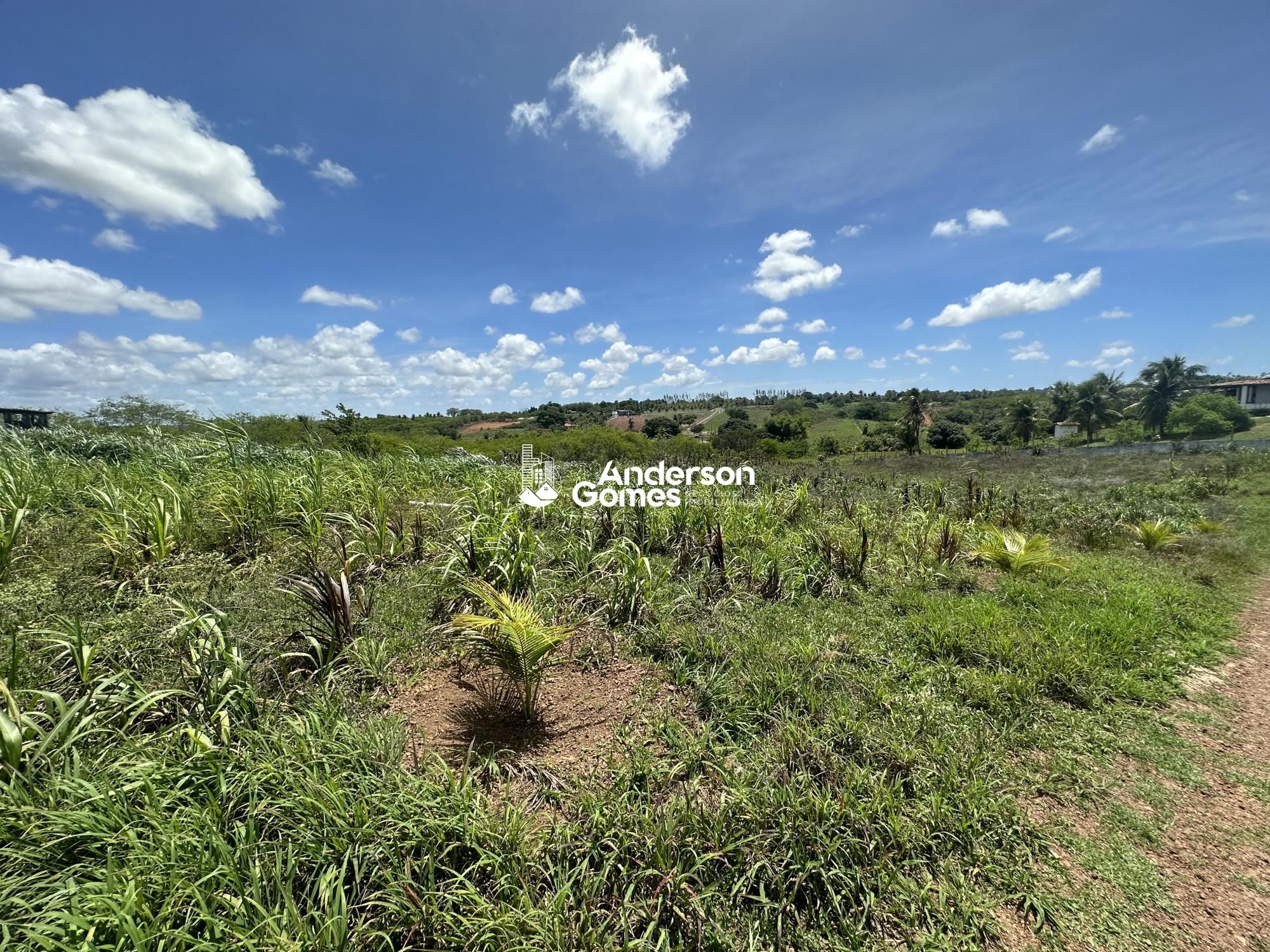 Sítio à venda com 3 quartos, 60000m² - Foto 32