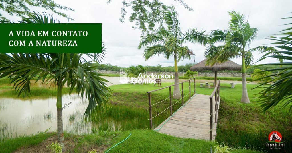 Casa, 4 quartos, 260 m² - Foto 21