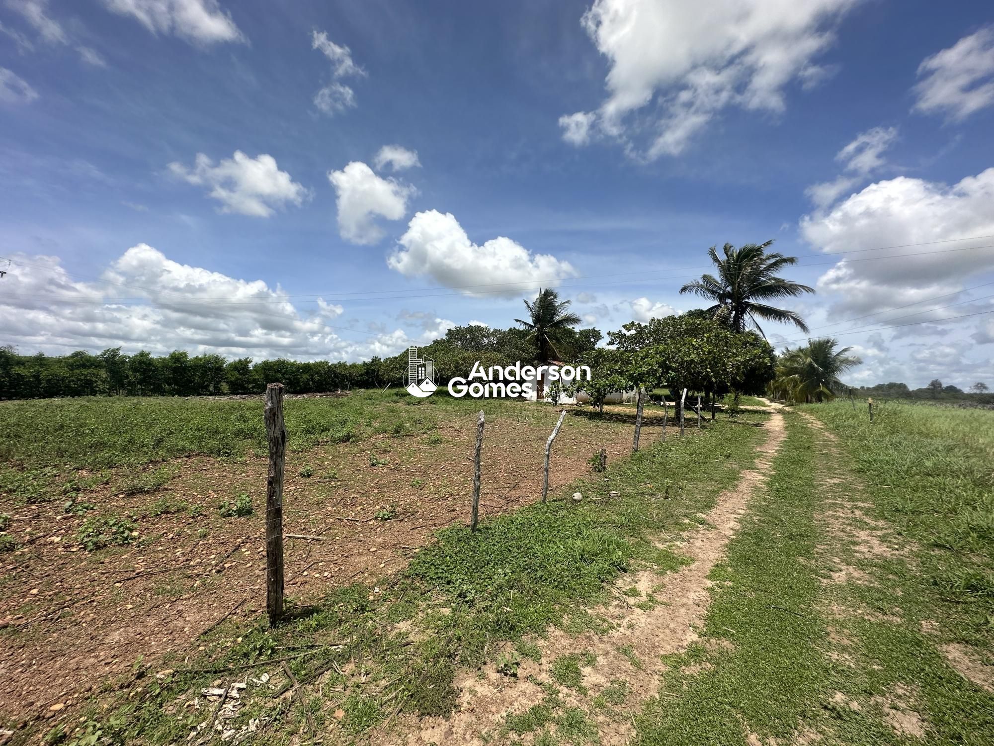 Sítio à venda com 3 quartos, 60000m² - Foto 29