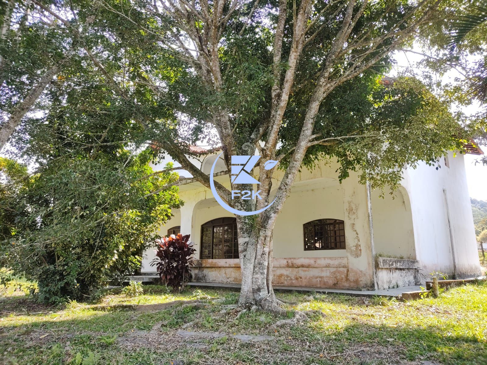 Fazenda à venda com 3 quartos, 20000000m² - Foto 9