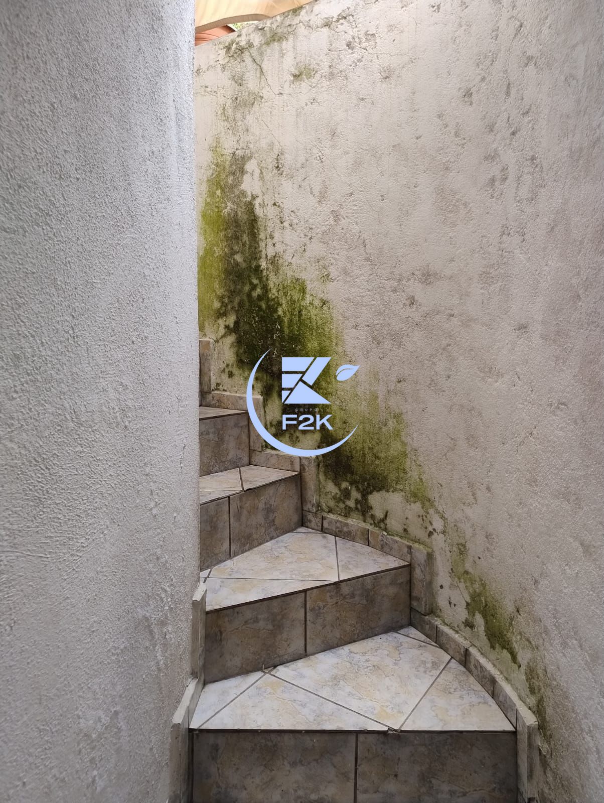 Casa, 3 quartos, 156 m² - Foto 7