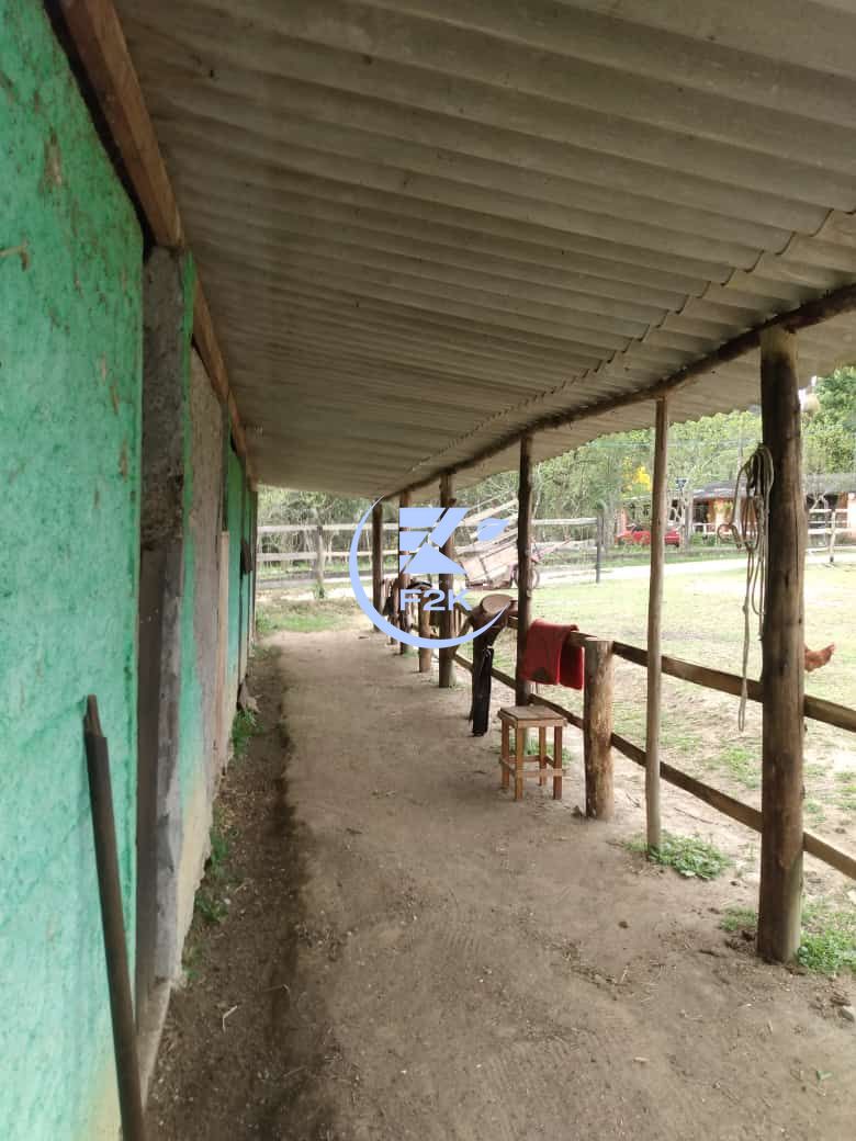 Fazenda à venda com 3 quartos, 20000000m² - Foto 28