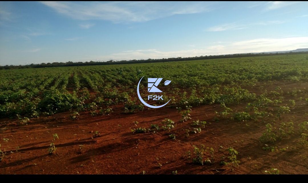 Fazenda, 60000 hectares - Foto 1