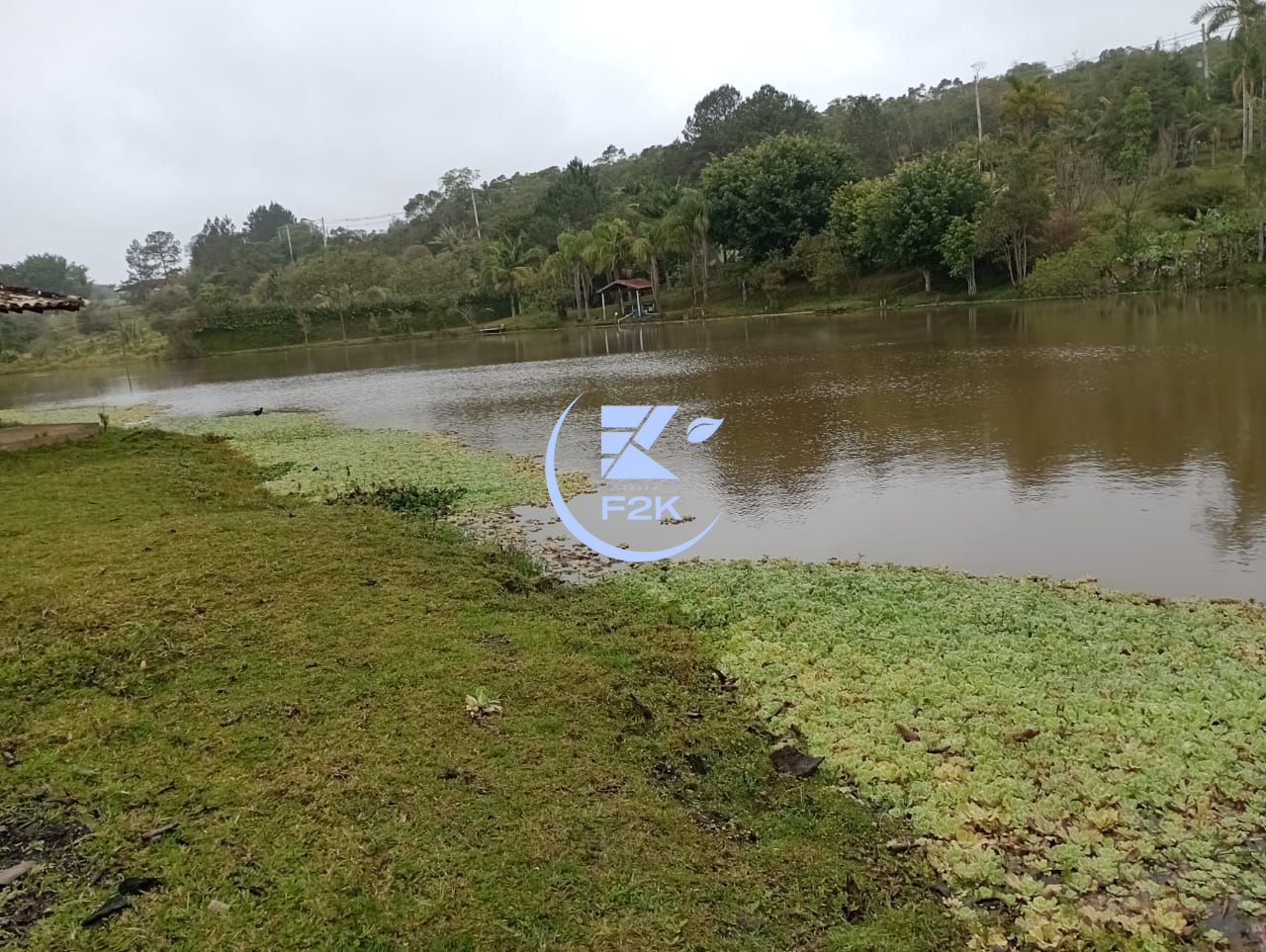 Fazenda à venda com 3 quartos, 20000000m² - Foto 17