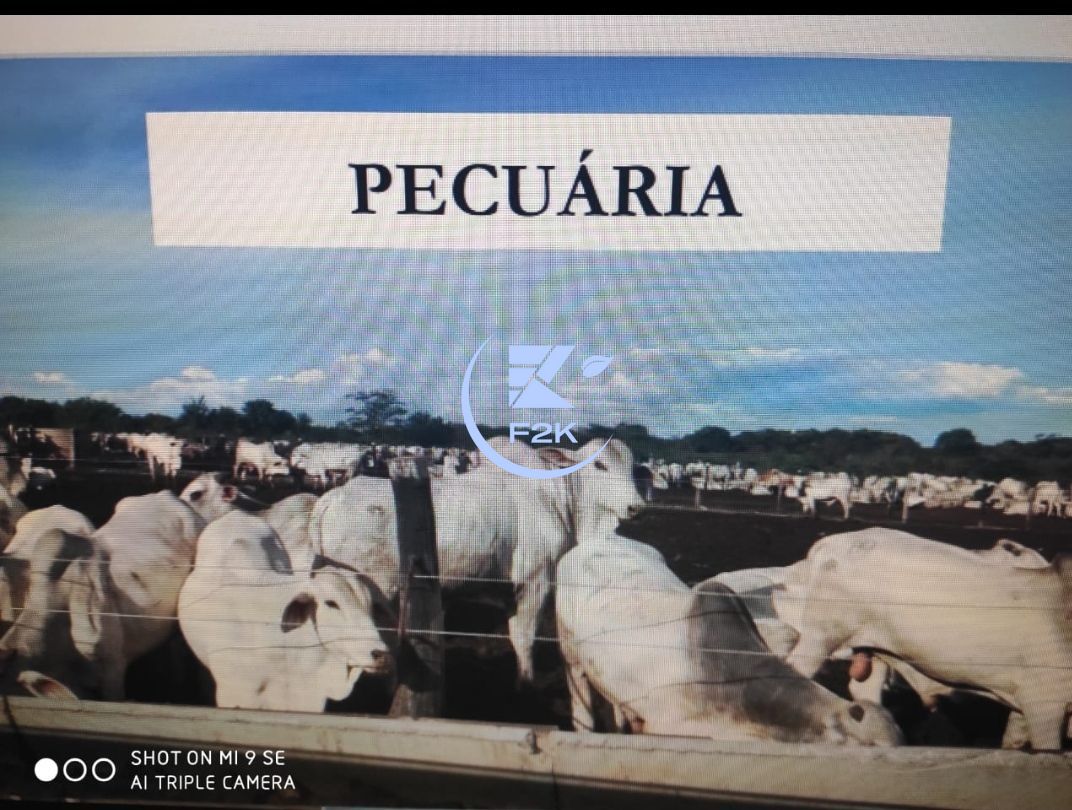 Fazenda, 60000 hectares - Foto 3