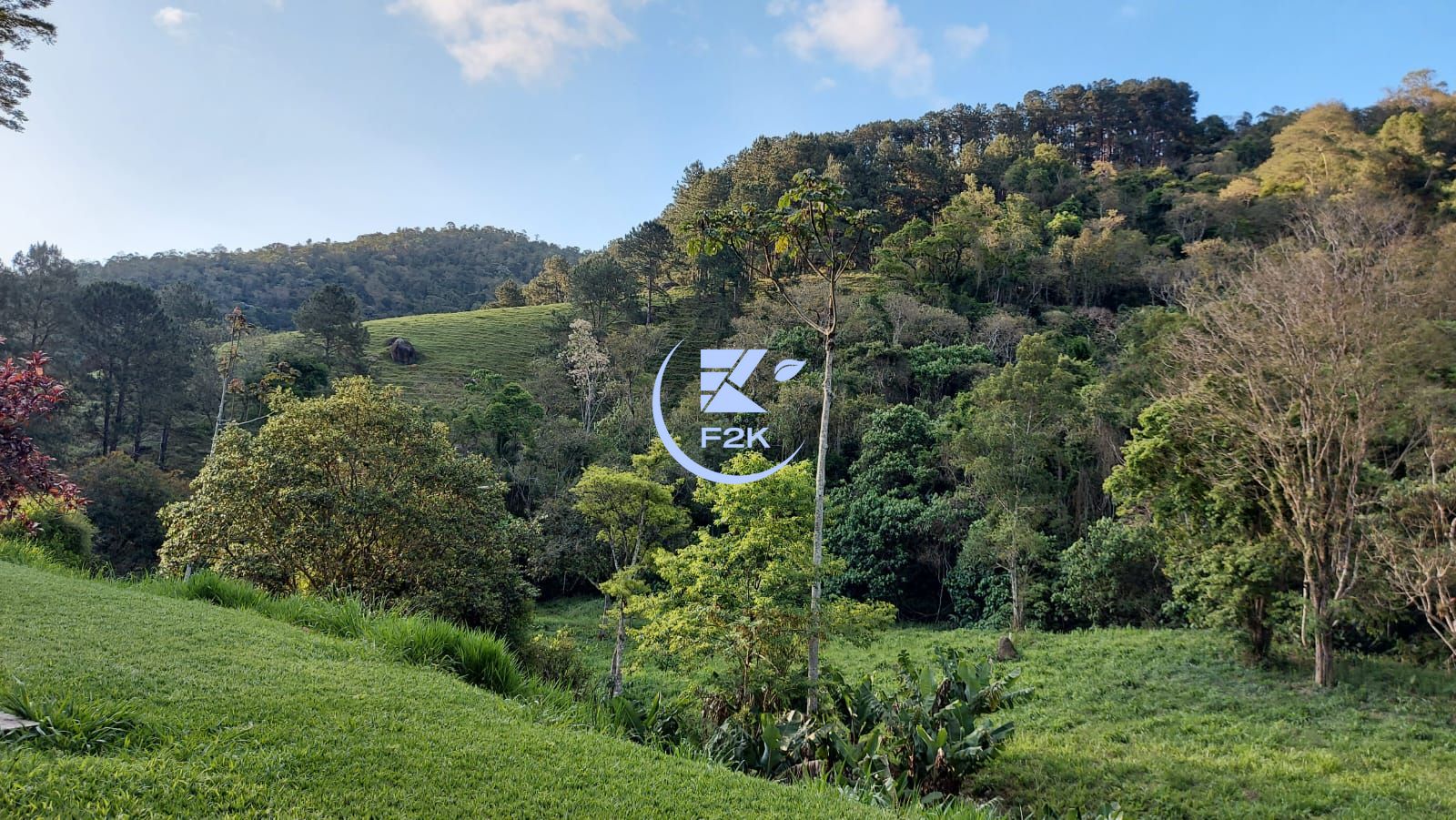 Fazenda à venda com 4 quartos, 26000m² - Foto 23