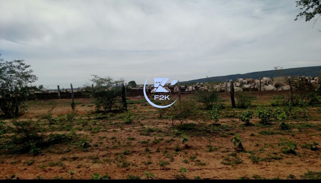 Fazenda, 60000 hectares - Foto 6