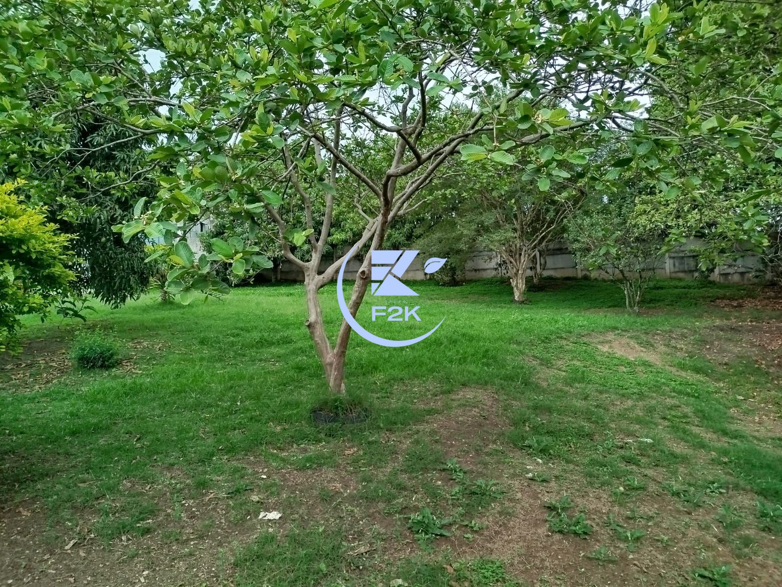 Chácara, 3 quartos, 2000 m² - Foto 3