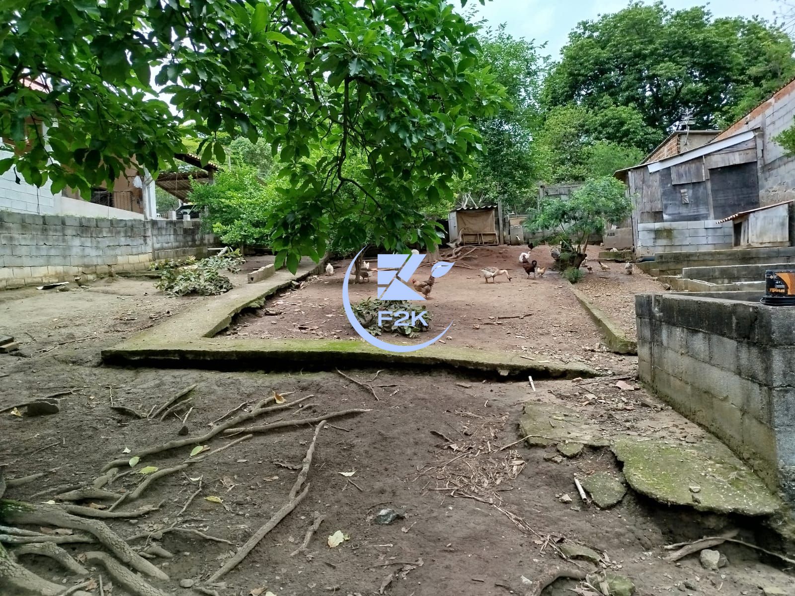 Chácara, 3 quartos, 2000 m² - Foto 6