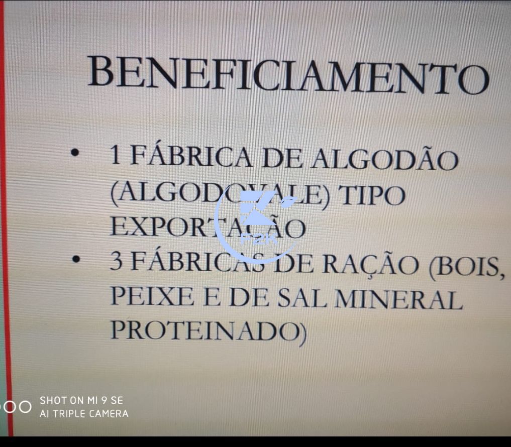 Fazenda, 60000 hectares - Foto 11