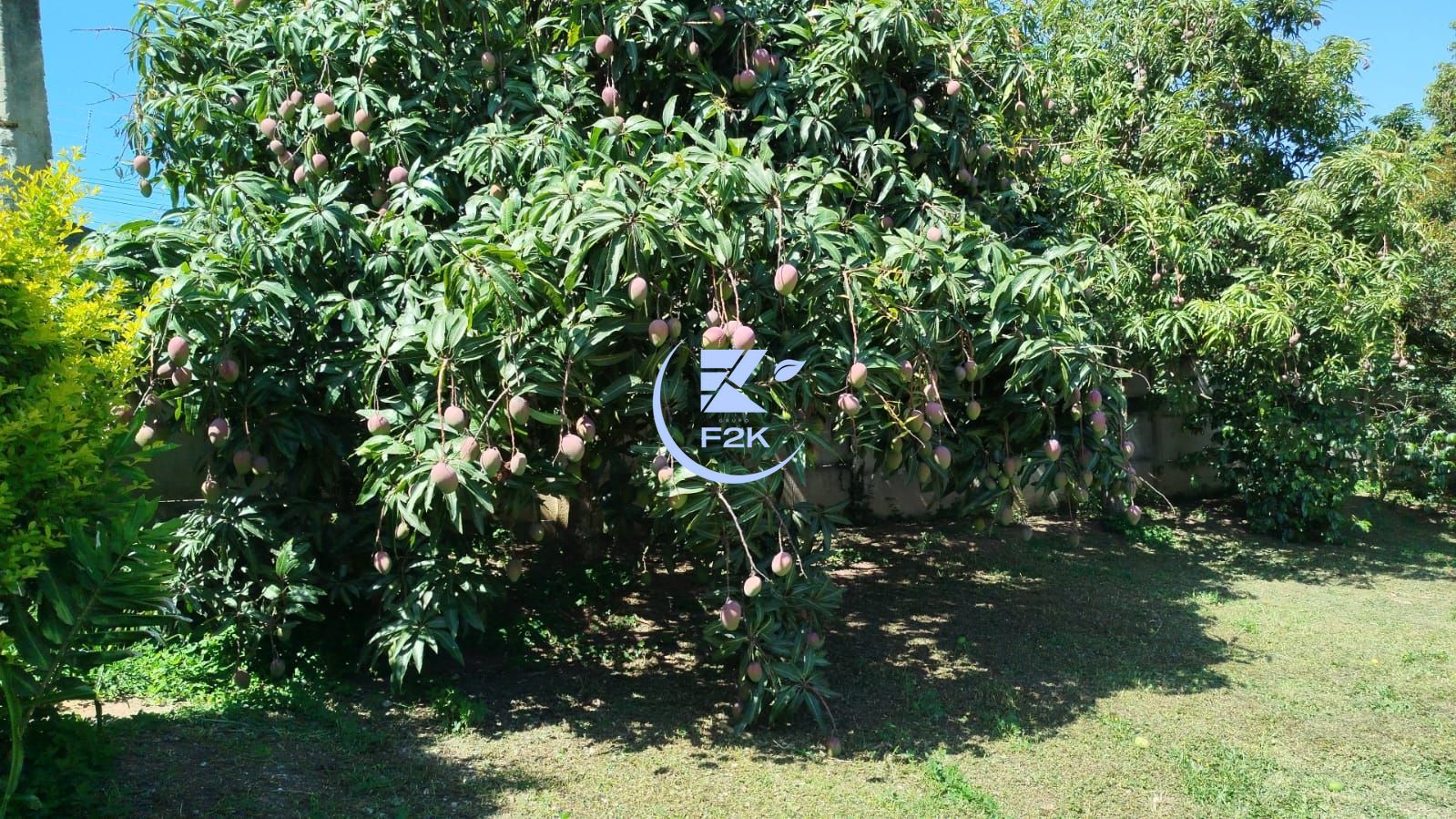 Chácara, 3 quartos, 2000 m² - Foto 32