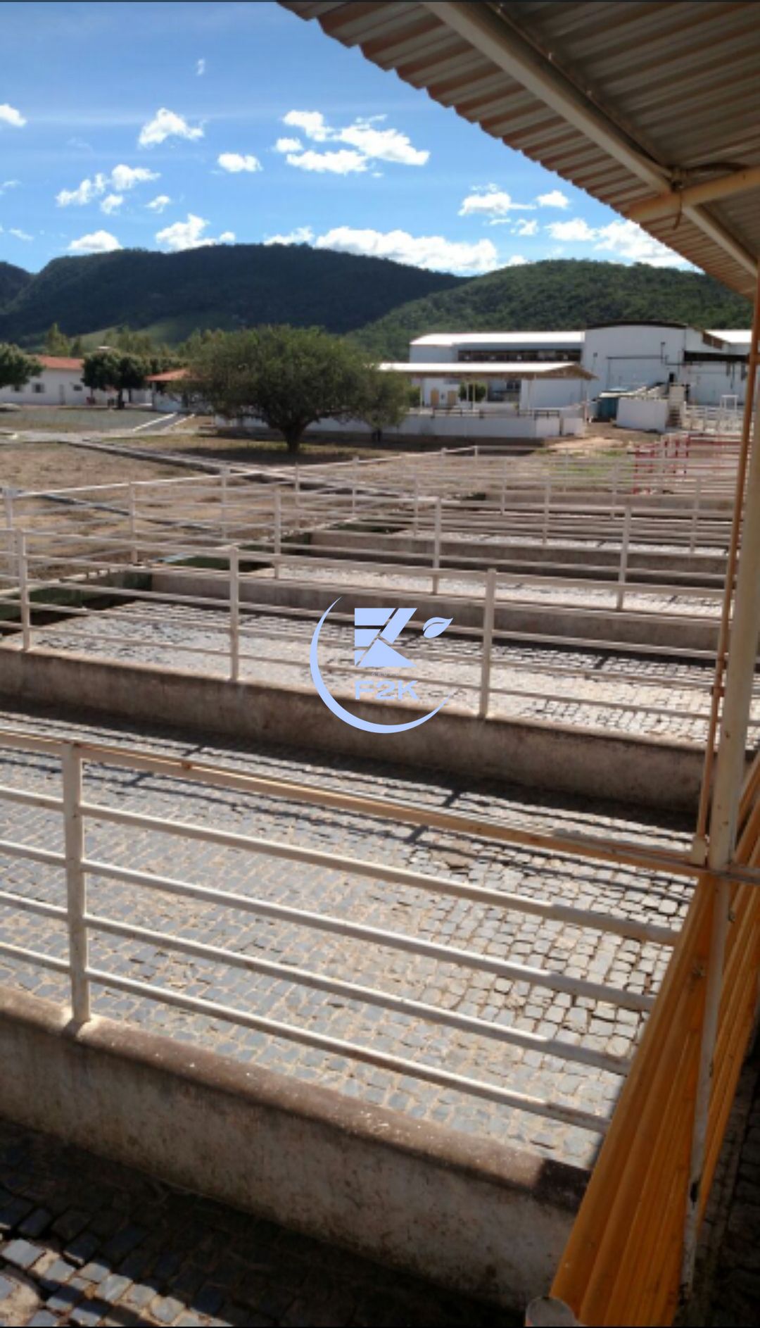 Fazenda, 60000 hectares - Foto 18