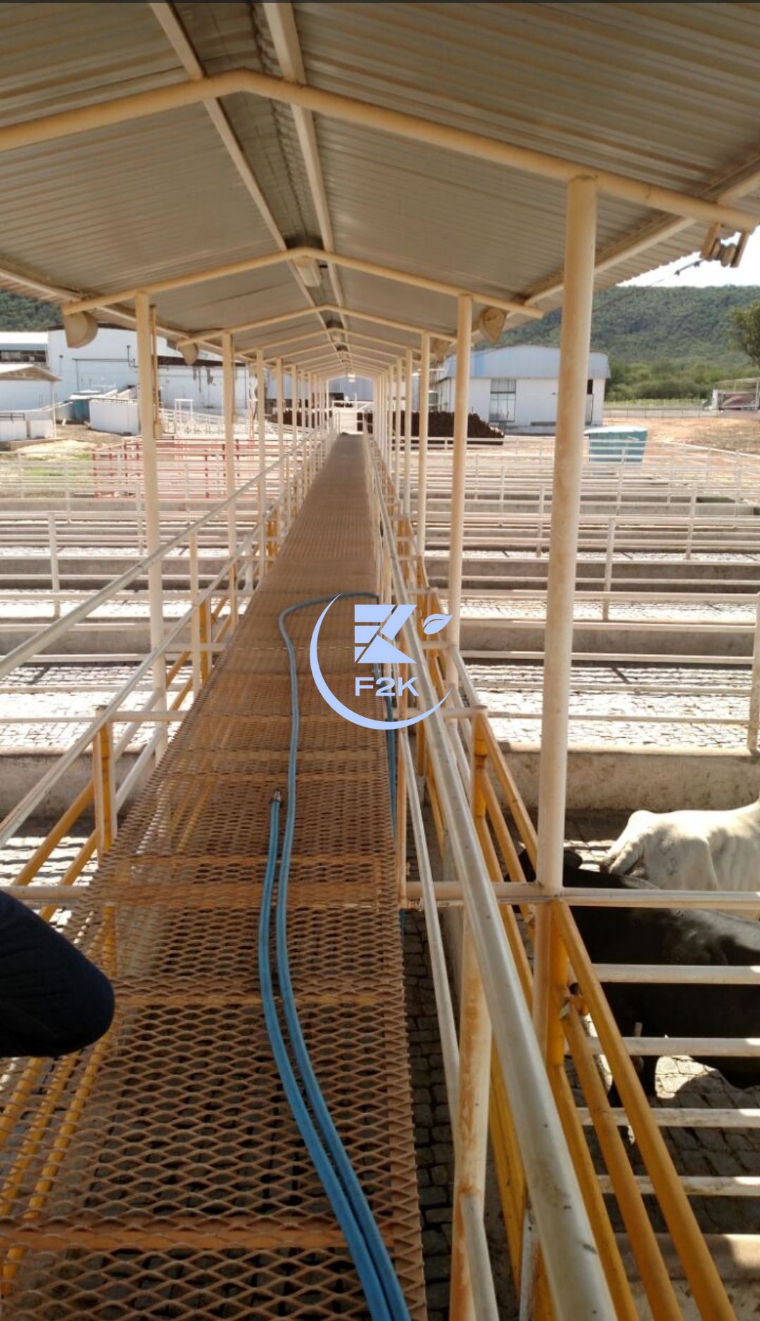 Fazenda, 60000 hectares - Foto 15