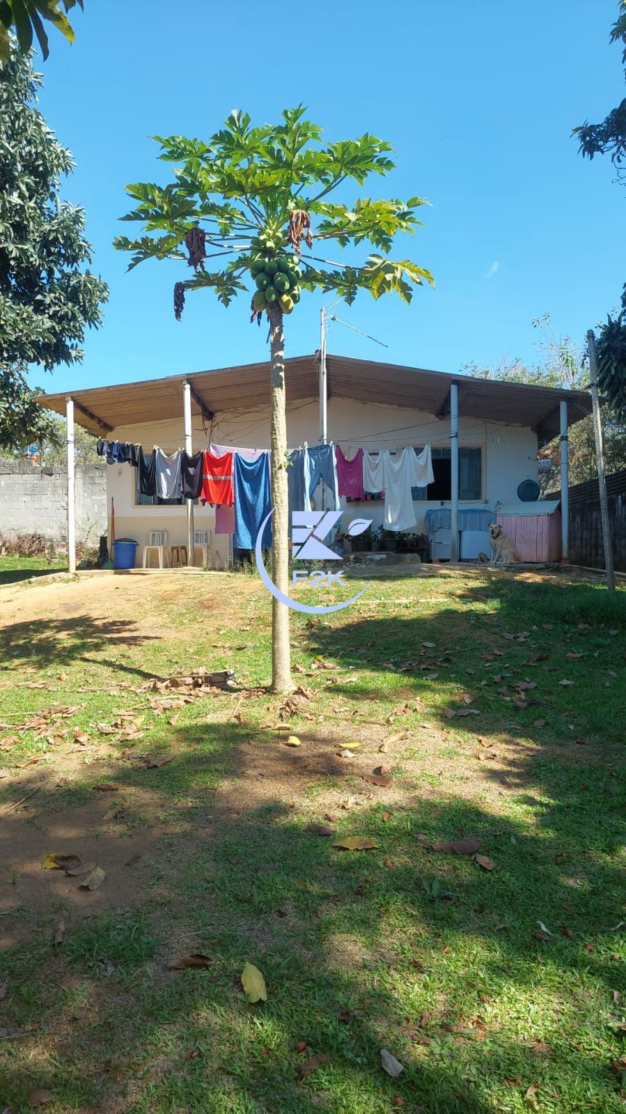 Fazenda à venda com 2 quartos, 2100m² - Foto 17