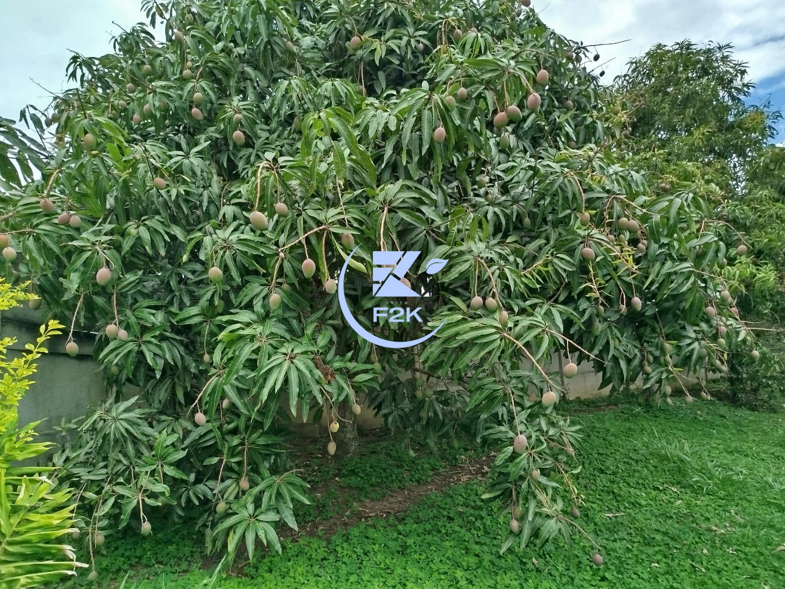 Chácara, 3 quartos, 2000 m² - Foto 30