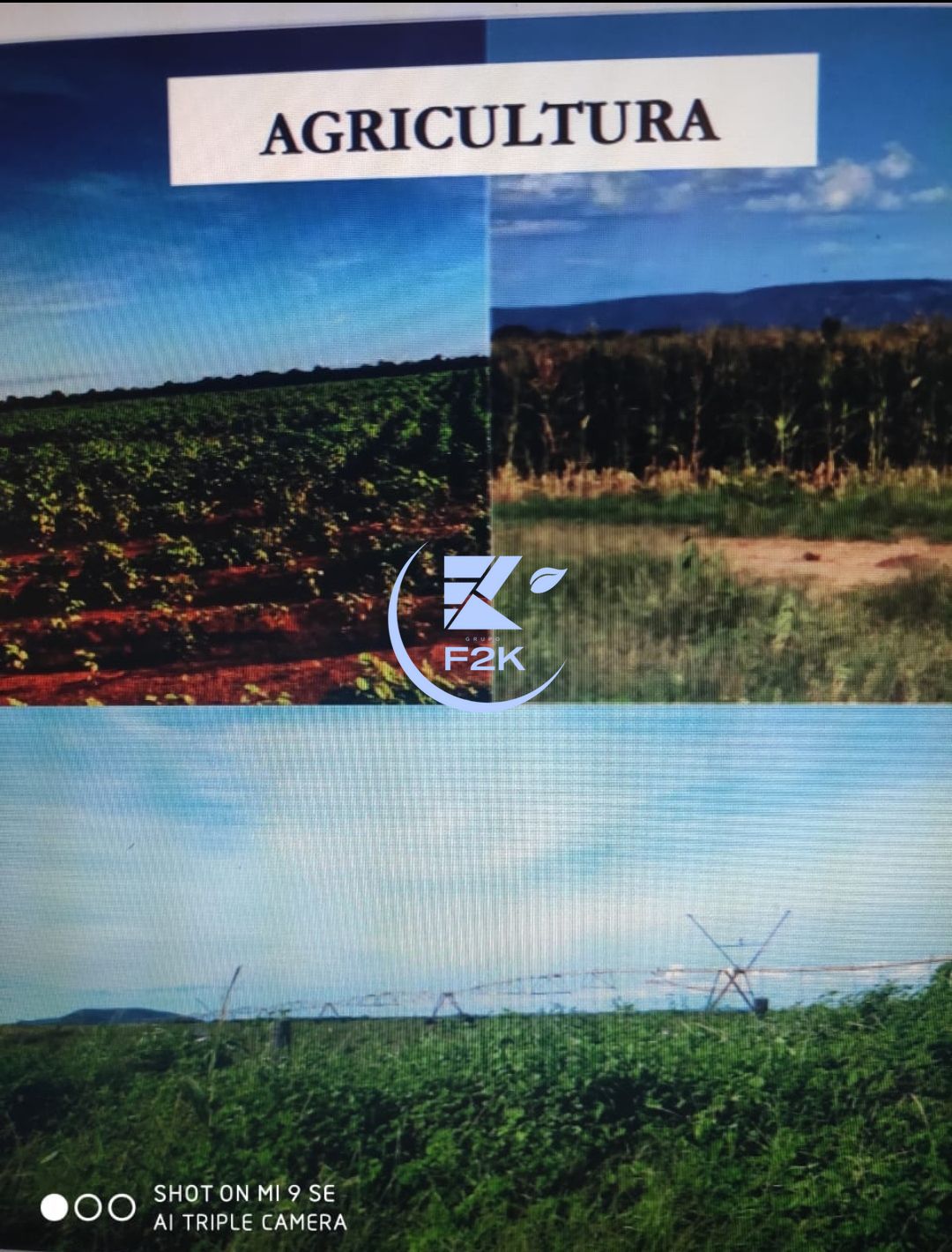 Fazenda, 60000 hectares - Foto 4