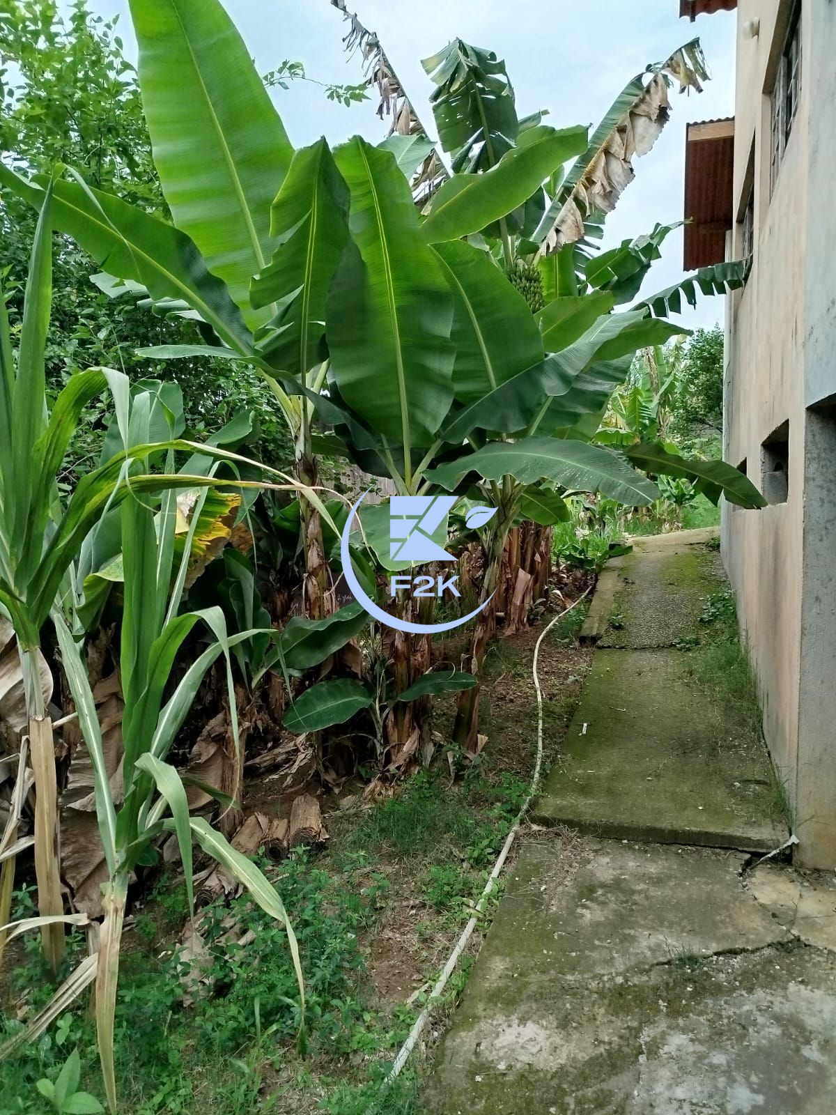 Chácara, 3 quartos, 2000 m² - Foto 27