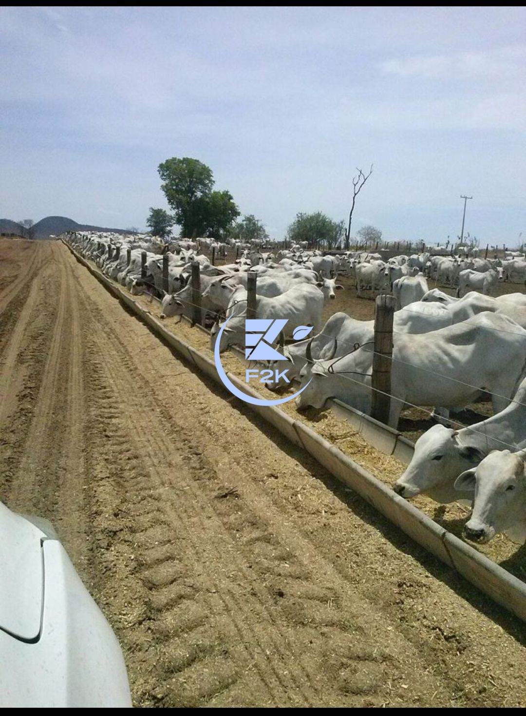 Fazenda, 60000 hectares - Foto 8