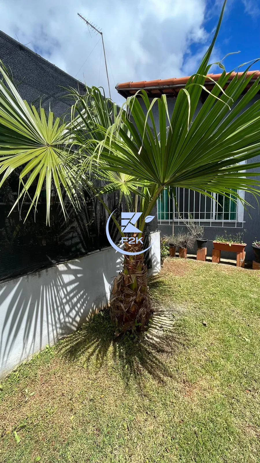 Casa, 2 quartos, 61 m² - Foto 5