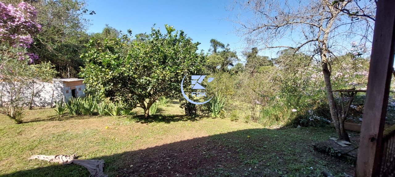 Fazenda à venda com 4 quartos, 629m² - Foto 12